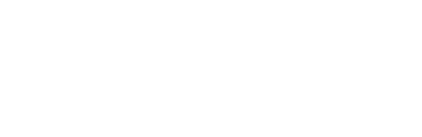 BMWKMS_Logo_weiss